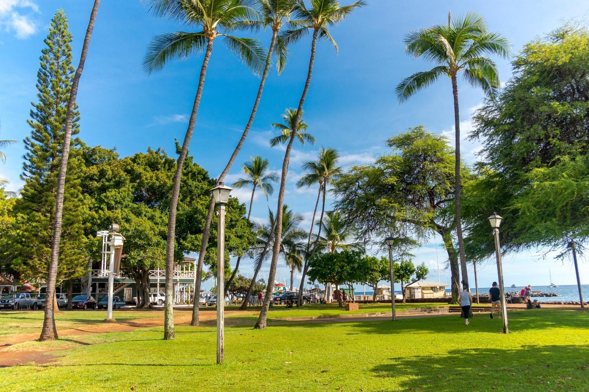 Apartament Paki Maui 222 Napili-Honokowai Pokój zdjęcie